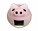 Pig radio & timer,Picture