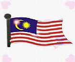 Malaysia flag flash