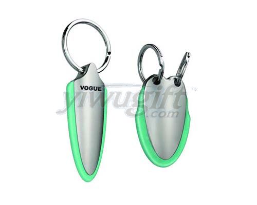 Metal key ring, picture