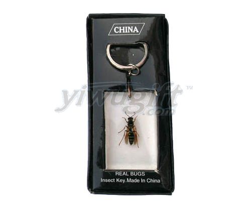 Key chain, picture