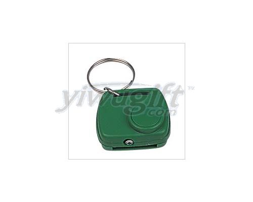 Electronic key ring, picture