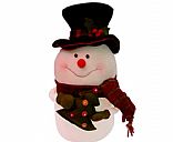 Christmas Snowman, Picture