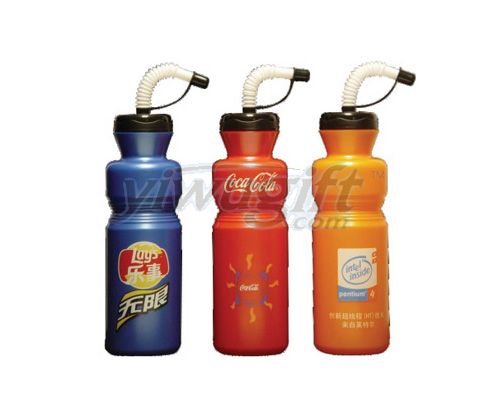 Fashion sports  bottle