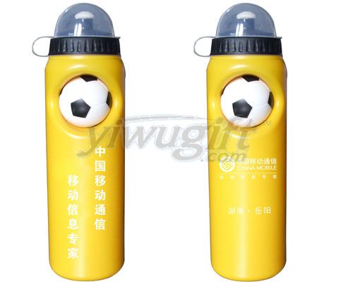 Sports water bottle, picture