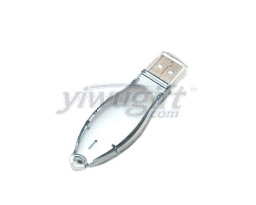 usb disk, picture