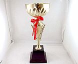New Arts trophy,Picture