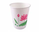 Paper cup,Picture