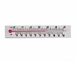 Mercury thermometer,Picture