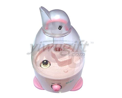 Humidifier, picture