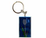 Crystal key chain, Picture