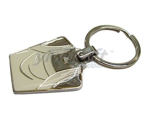 Metal key ring, picture
