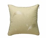 pillow, Picture