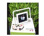 digital photo frame, Picture