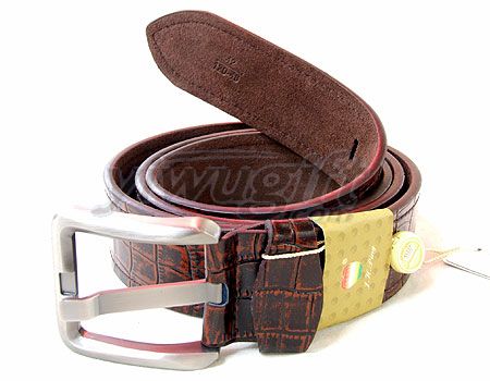 Pin buckle belt, picture