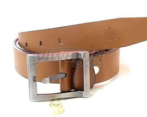 Leisure pin buckle belt, picture