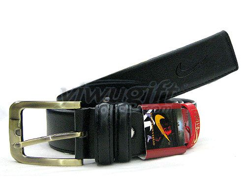 Pin buckle belt