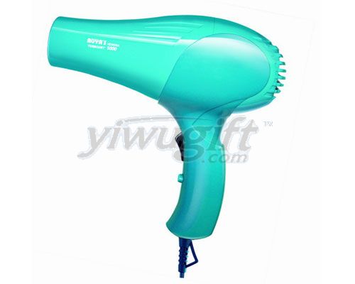 Hair Dryer, picture