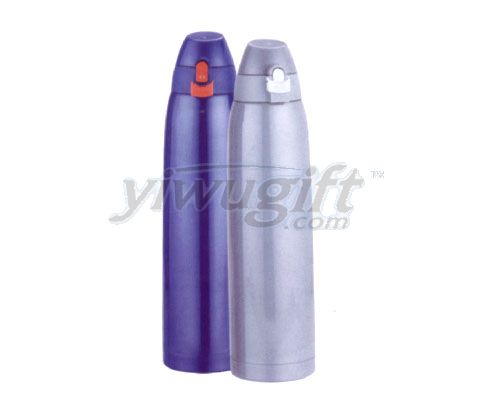 Stainless Steel Vacuum Botles, picture