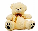 Plush teddy bear, Picture